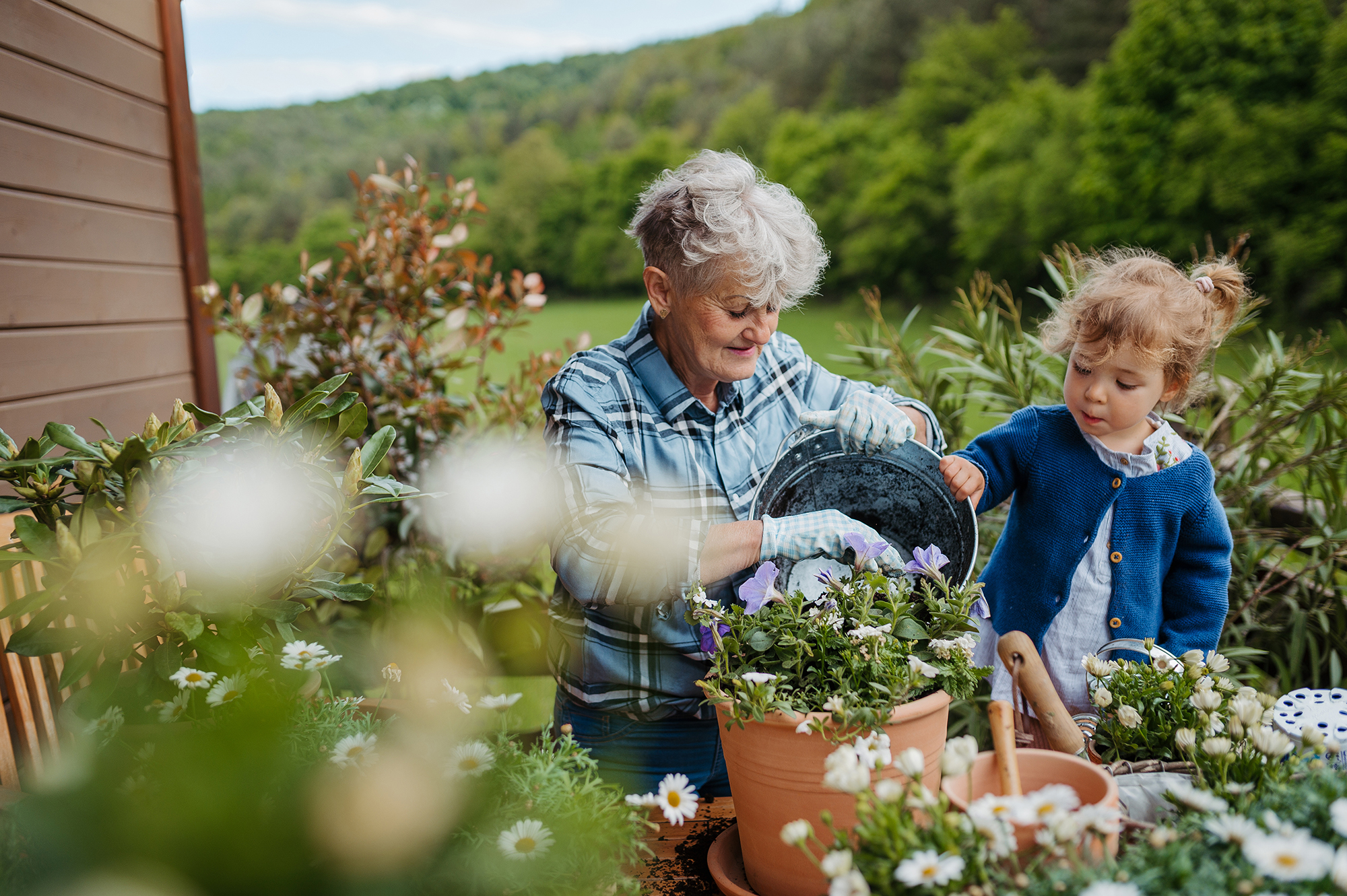 A grandmother potting flowers in the garden with her young granddaughter